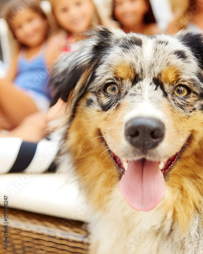 Playful dog with kids in backyard lifestyle photo summer vibes