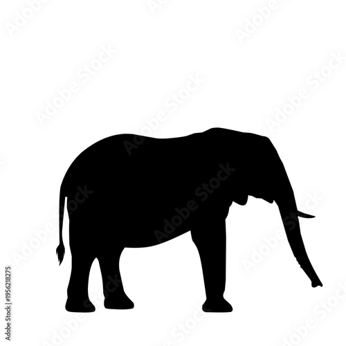 black elephant silhouette in a side view walking pose isolated on white background, perfect for African safari themes, wildlife conservation projects, and nature designs