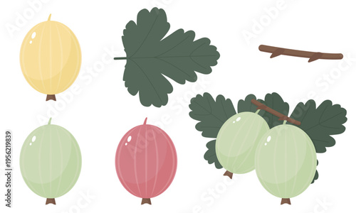 Gooseberry set isolated on a white background. Collection of yellow, green, and red berries with green leaves in flat style. Vector illustration, colored icons, design elements.