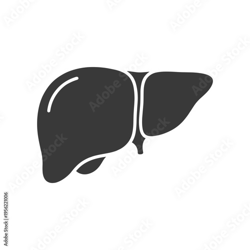 Liver icon in flat design on transparent background  