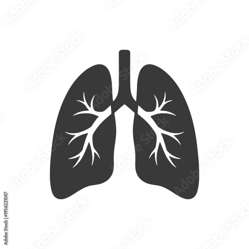 Anatomical illustration of human lungs in flat design style  