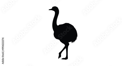 A striking black silhouette of a rhea in a walking pose silhouette