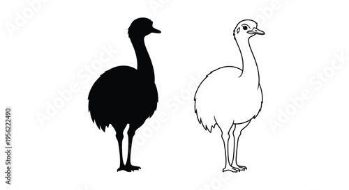 Two ostriches depicted with contrasting styles one as a silhouette