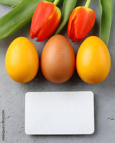 Colorful easter eggs and tulips arrangement creative food studio top view