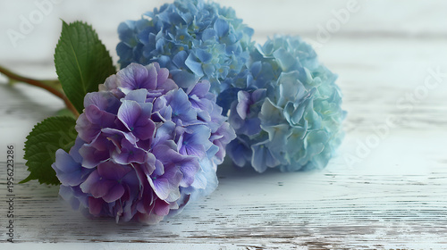Vibrant Floral Trio Still Life