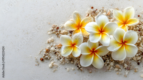 Vibrant Tropical Blossoms Natural Textures
