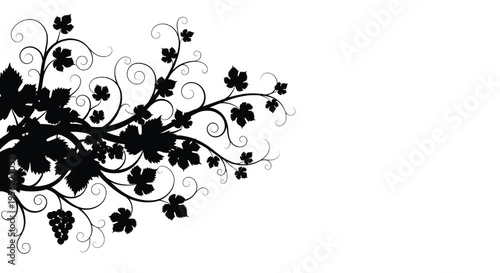 A black silhouette of grapevine with leaves and grapes on a white background