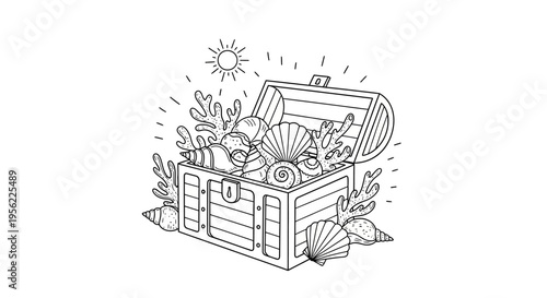 Open Treasure Chest Filled with Seashells and Coral