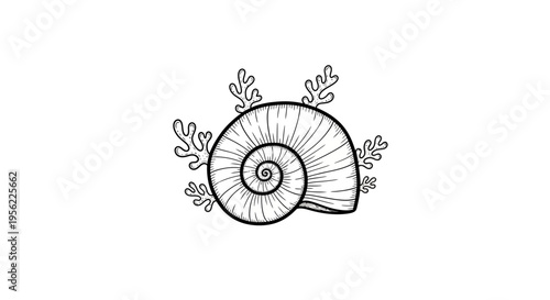 Hand-Drawn Seashell with Coral Accents in Black and White