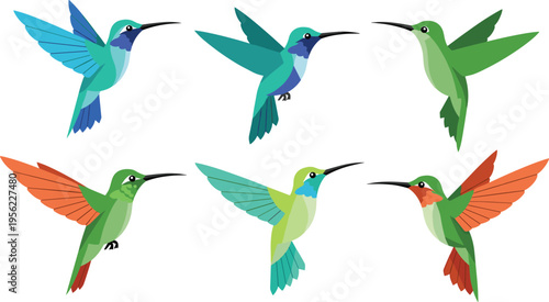 Colorful Hummingbird Flying Bird Icon Set with Stylized Tropical Wildlife Illustrations for Nature Design, Spring Graphics, Eco Branding, Stickers, and Educational Vector Collections
