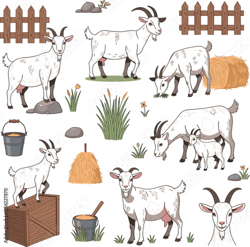 Farm Goat Cartoon Character Set with Different Poses Grazing Standing Eating Hay Cute Domestic Livestock Animal Vector Illustration Collection
