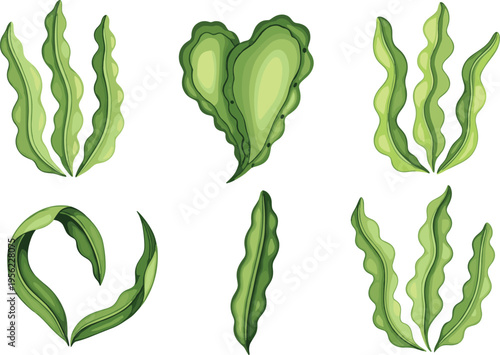 Seaweed Leaf Vector Illustration Set with Green Marine Algae Foliage Elements for Ocean Nature Graphics, Sushi Ingredient Designs, Underwater Ecology Projects, and Aquatic Botanical Collections