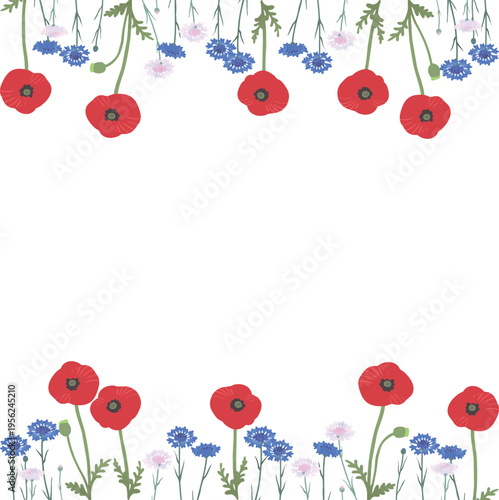 矢車菊とポピーの花フレーム（上下装飾）フラットベクター｜春夏のナチュラル花枠素材（背景透過）
