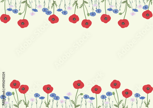 矢車菊とポピーの花フレーム背景（上下装飾）フラットベクター｜春夏のナチュラル花デザイン素材