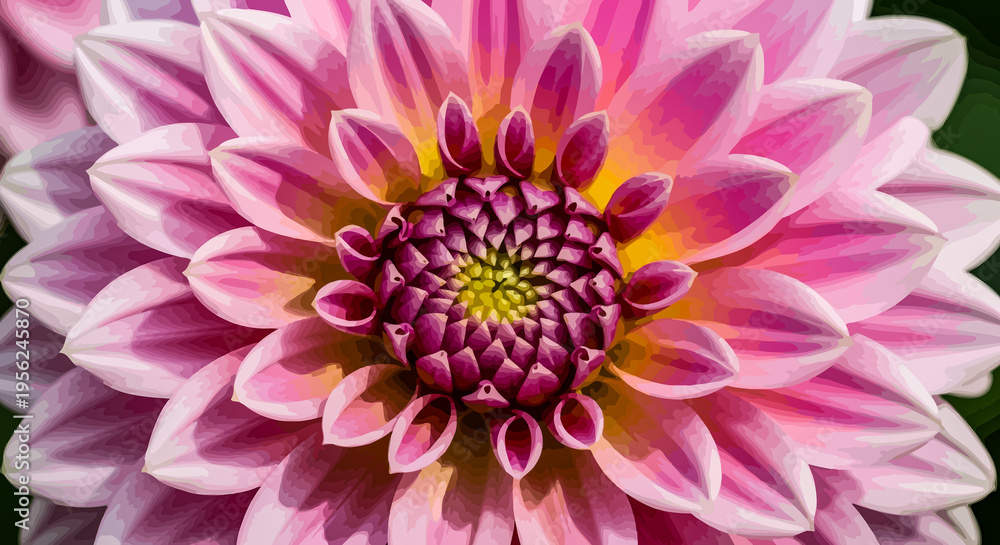Fototapeta premium Isolated macro shot of a single beautiful pink dahlia blossom with delicate petals in a summer garden nature setting