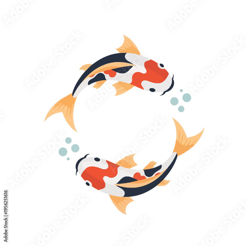 Two Vibrant Koi Fish Swimming in Circle, Japanese Culture Symbol, White Background