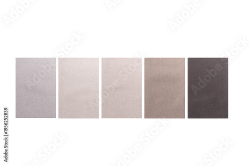 A professional color palette presentation featuring rectangular swatches of textured.