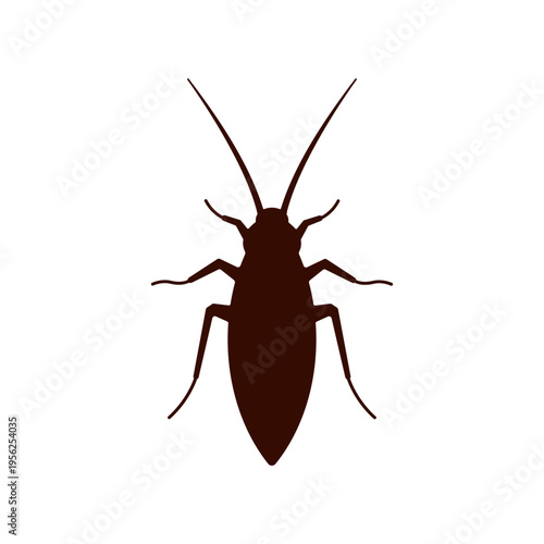 Cockroach Insect Pest Vector Illustration Isolated.