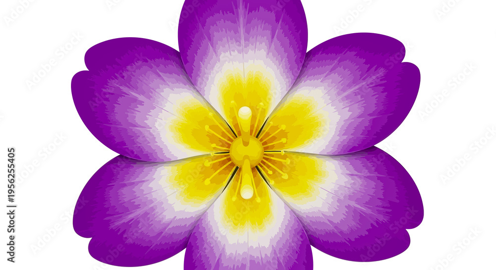 Obraz premium A single beautiful macro close-up of purple and yellow violet flowers and a pink orchid petal isolated on white background captures the spring blossom of nature's floral beauty in a garden