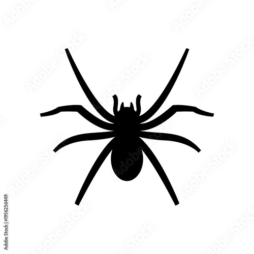 Black Silhouette of a Spider.