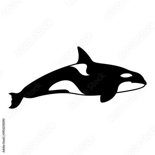 Black Silhouette of an Orca Whale.