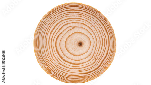 Isolated round wood cross-section revealing natural annual growth rings and timber texture