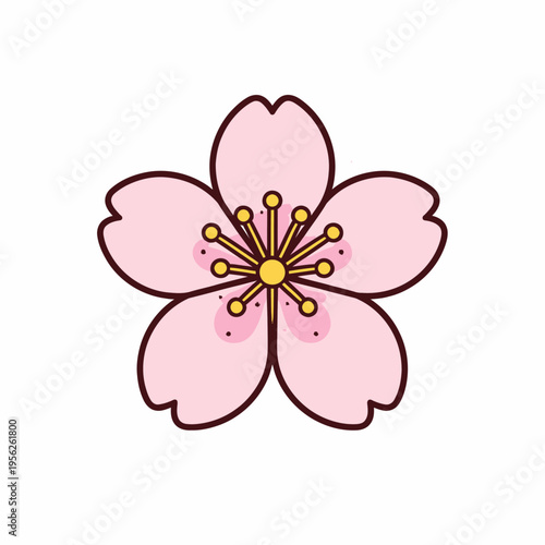 Vibrant pink cherry blossom flower with yellow stamens on white background