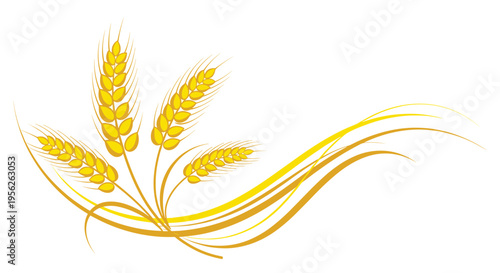Golden wheat stalks and ripe grain ears arranged in an elegant artistic curve representing the harvest season and agriculture.