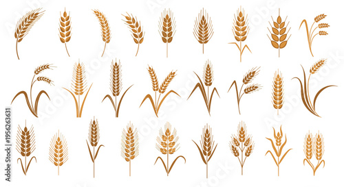 Collection of diverse wheat stalk icons and symbols presented in warm golden brown tones for agricultural branding designs.