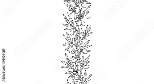 Seamless vertical border pattern featuring a detailed black and white etching of olive tree branches with leaves and fruit.