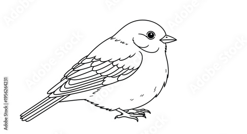 Simple black and white line art drawing of a small plump bird standing sideways against a plain white background.