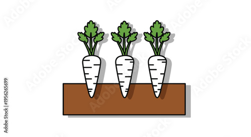 Three white root vegetables like parsnips or radishes growing in a brown soil bed with green leafy tops and soft shadows.