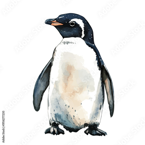 AdAlie Penguin, watercolor vector portraying a joyful pose with colorful highlights, isolated on a white background.