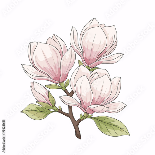 Magnolia flower branch with pink petals and green leaves  