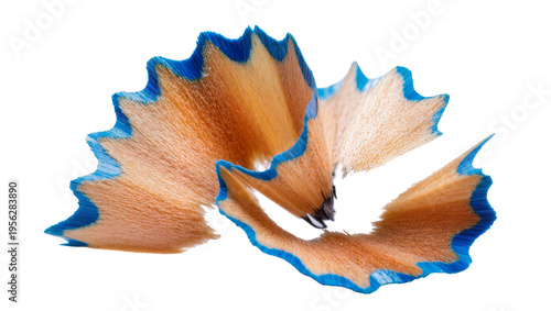 Bild auf Leinwand Isolated curled blue pencil shaving with natural wood texture, creative art and
