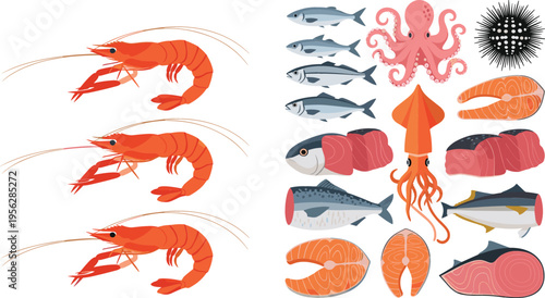 Seafood Illustration Set Featuring Shrimp Fish Salmon Tuna Squid Octopus and Sea Urchin Fresh Marine Food Collection for Culinary Design