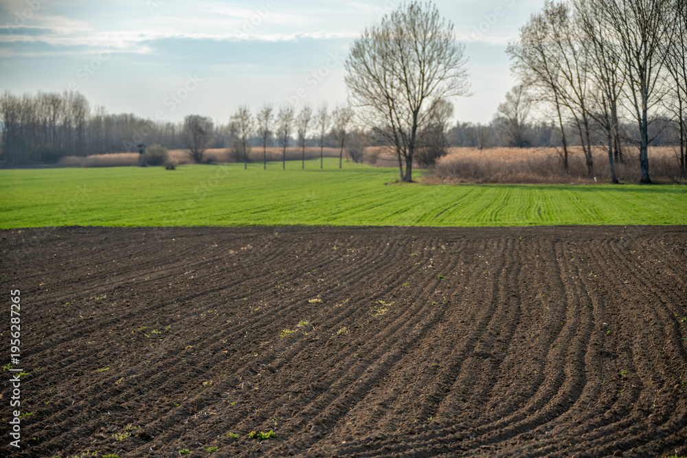 Fototapeta premium Aerial view of agricultural fields with green and brown squares in early spring