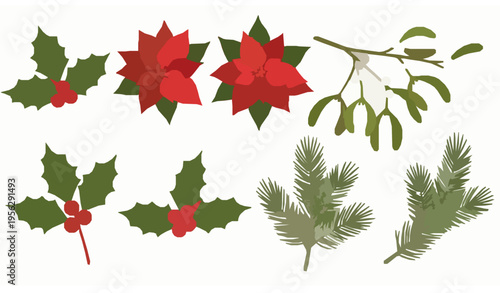 Christmas Botanical Set Holly Poinsettia Mistletoe Evergreen Vector Illustration