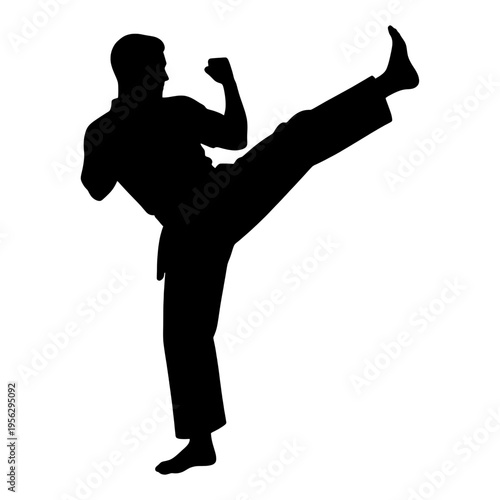 Martial Arts Silhouette Line Icon