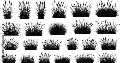 W"Black silhouette illustration of multiple grass and reed clumps arranged in rows, showcasing diverse vegetation shapes, natural growth patterns, botanical design, and decorative landscape artwork"eb