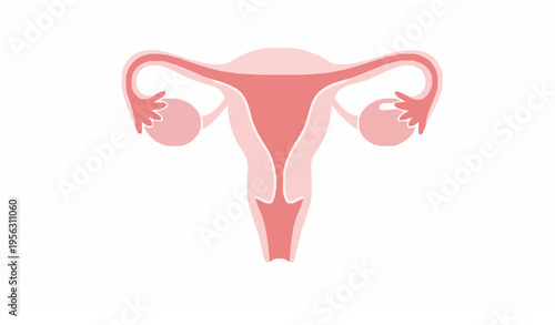 Female Anatomy Symbol Minimal Pink Reproductive Health Vector Illustration
