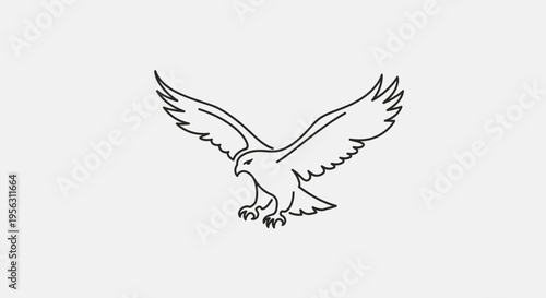 Black and White Eagle Illustration Soaring.