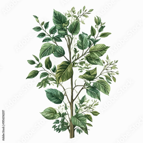 Nature Design Very Cool