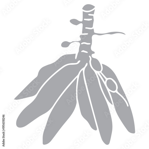 Stylized Cassava Root