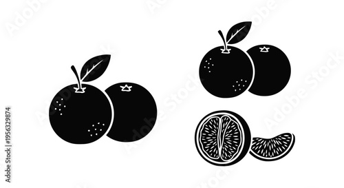 Vector illustration of set of fresh orange fruit icons on a transparent background