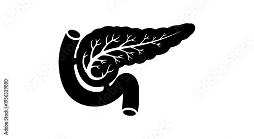Vector illustration of pancreas and duodenum icon vector illustration on a transparent background