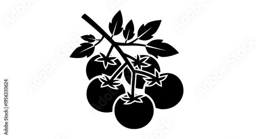 Vector illustration of fresh tomatoes on the vine with green leaves icon on a transparent background