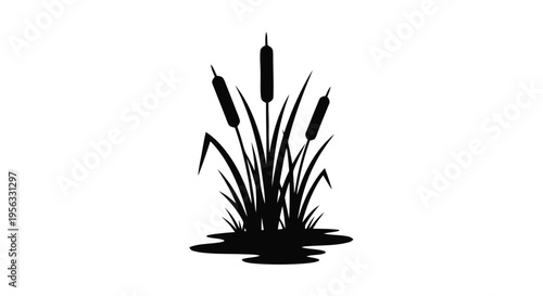 Vector illustration of silhouette of cattails and reeds growing in water on a transparent background