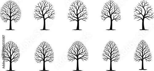 Vector illustration of leafless tree silhouettes with unique branching patterns and artistic natural design variation