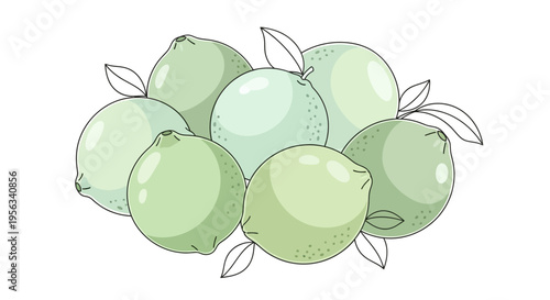 Green apples fruit bunch.